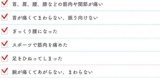 柔整施術・鍼灸施術内容
