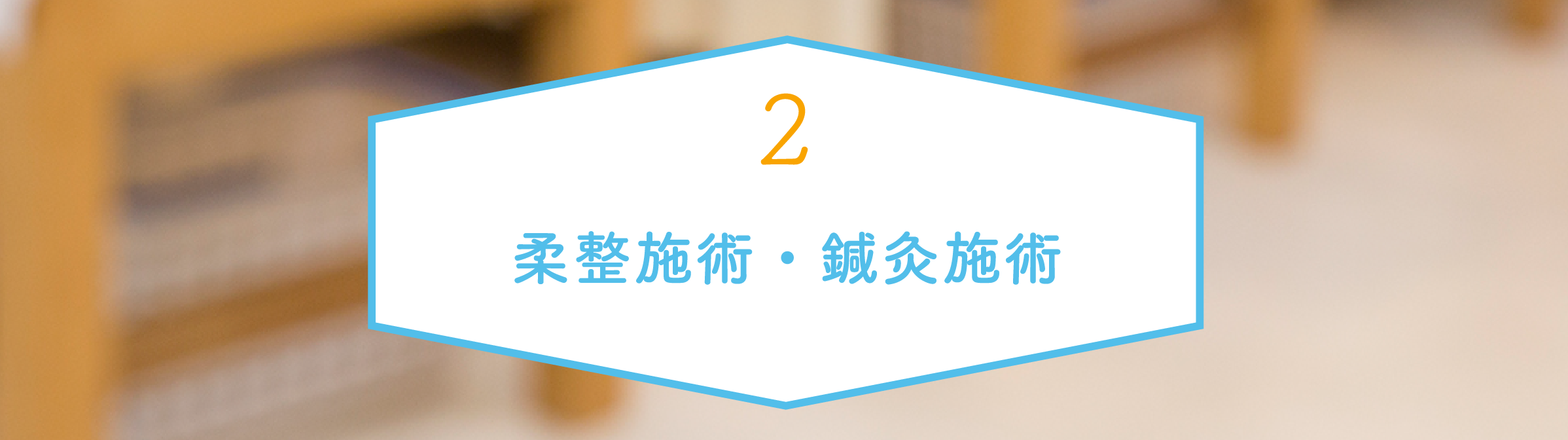 柔整施術・鍼灸施術内容
