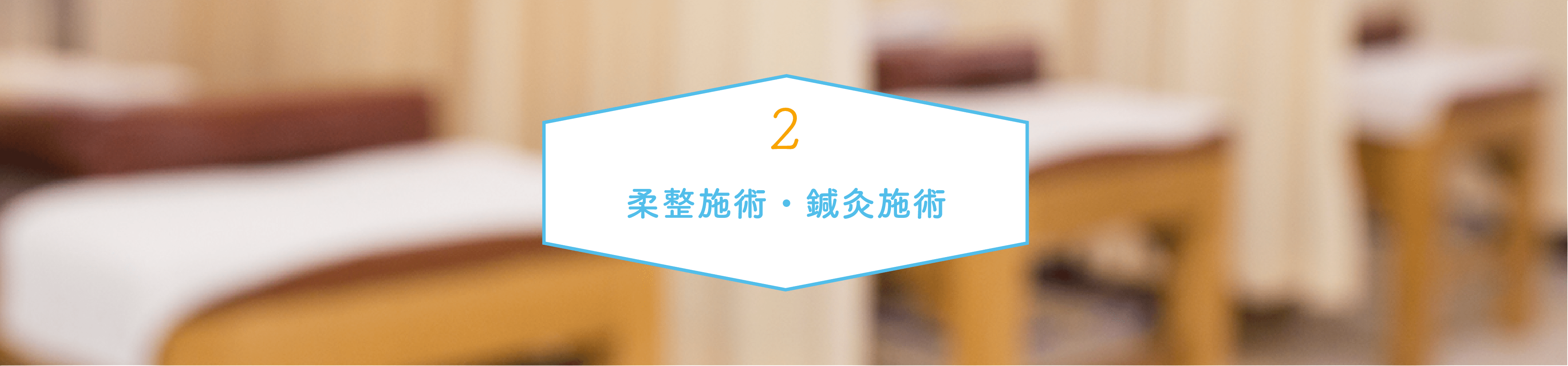 柔整施術・鍼灸施術内容
